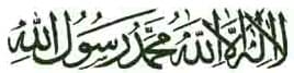 embrace islam